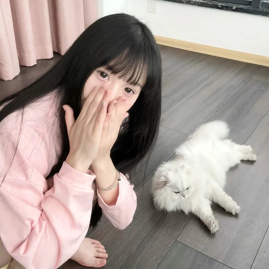 家有儿女新传 海报