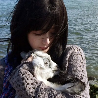 虚假的爱情 海报